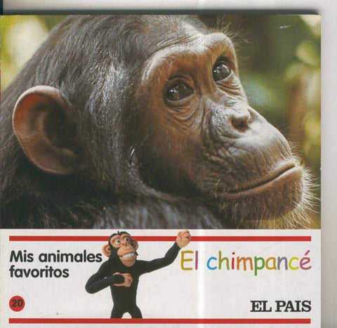Mis animales favoritos numero 20: El chimpance