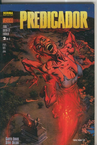 Vertigo numero 010: Predicador: Todo queda en familia numero 2