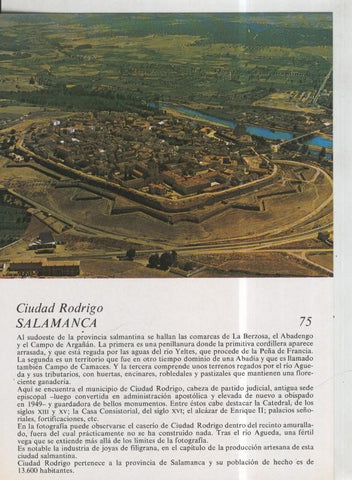 Laboratorio Emyfar S.L.: Imagen 075: Ciudad Rodrigo en Salamanca