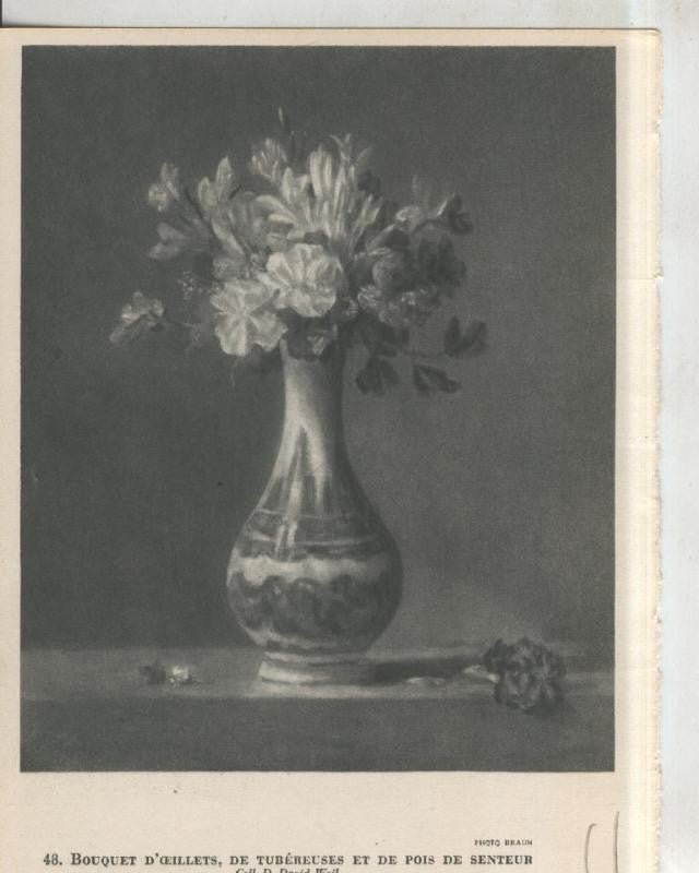 Chardin 1699-1779: lamina 11: Bouquet d´oeillets, de tubereuses et de pois de senteur