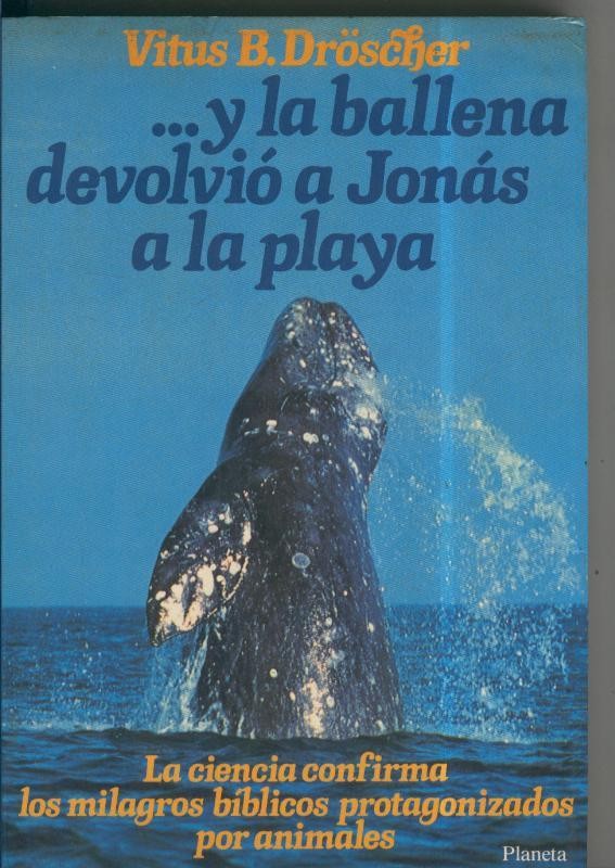 Y la Ballena devolvio a Jonas a la Paya