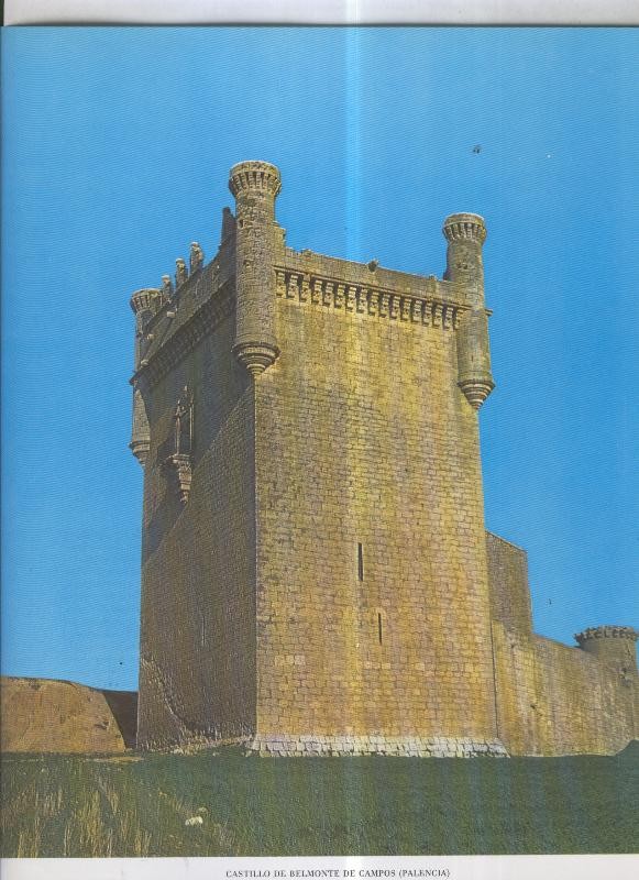 Castillo de Belmonte de Campos (Palencia)