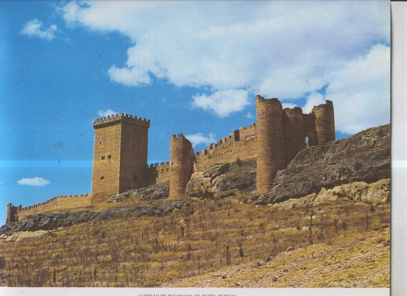 Castillo de Peñaranda de Duero (Burgos)