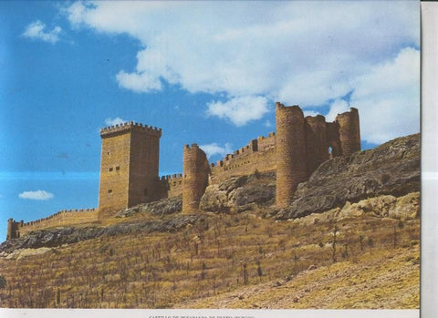 Castillo de Peñaranda de Duero (Burgos)