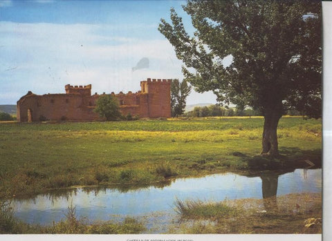 Castillo de Sotopalacios (Burgos)