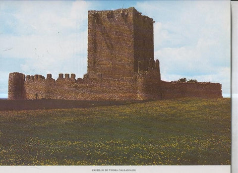 Castillo de  Tiedra (Valladolid)