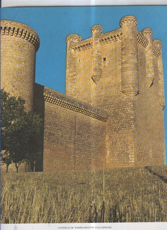 Castillo de  Torre del Rey (Oropesa, Castellon)