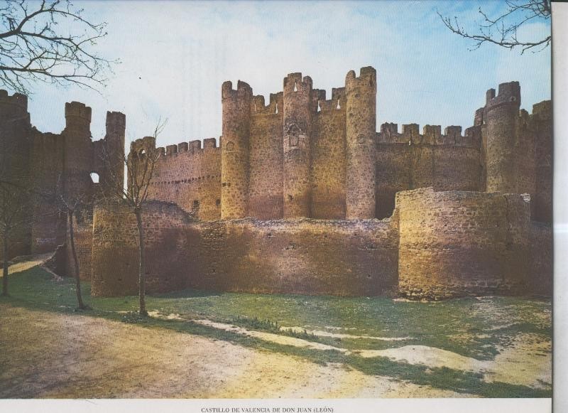 Castillo de Valencia de Don Juan (Leon)