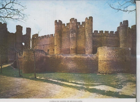 Castillo de Valencia de Don Juan (Leon)