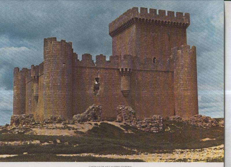 Castillo de  Villalonso (Zamora)