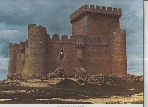 Castillo de  Villalonso (Zamora)