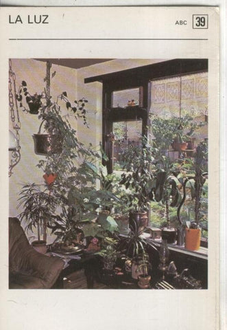 Postal 000525: Ficha Jardineria numero 39: La luz