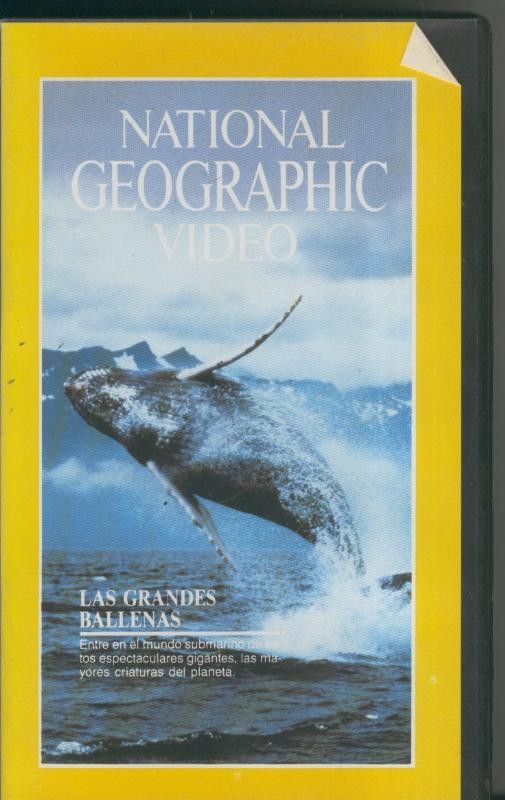 National Geographic Video VHS numero 10: Las grandes ballenas