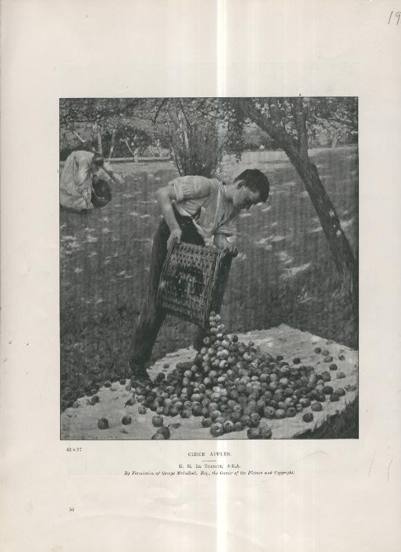 Lamina 019: Cider Apples por J.J.La Thangue