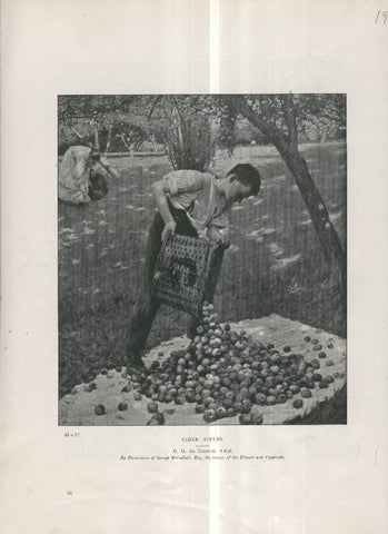 Lamina 019: Cider Apples por J.J.La Thangue