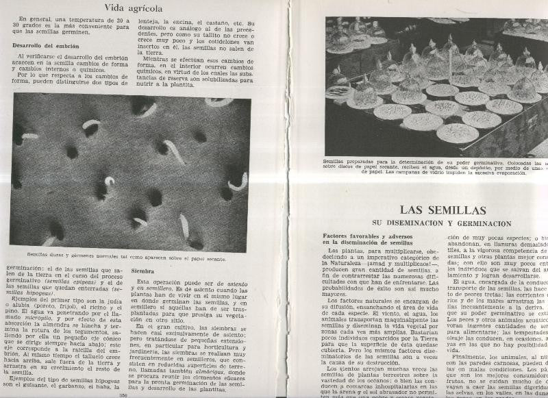 Las semillas, su diseminacion y germinacion