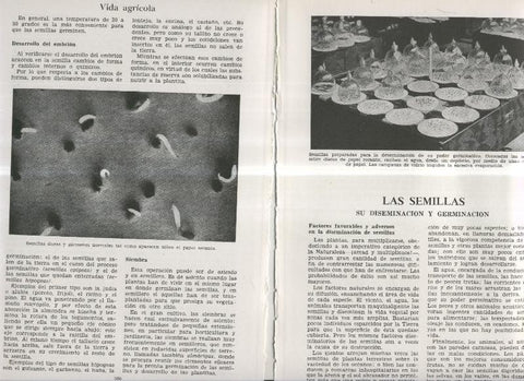 Las semillas, su diseminacion y germinacion