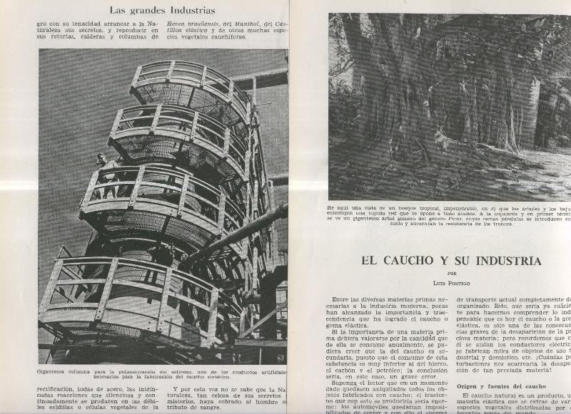 El caucho y su industria por Luis Postigo