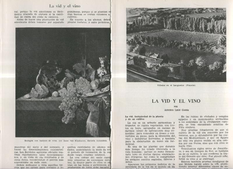 La vid y el vino por Aniceto leon Garre