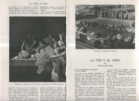 La vid y el vino por Aniceto leon Garre
