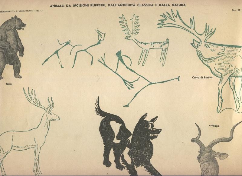 Lamina 28: animali da incisioni rupestri, dall´antichita classica e dalla natura