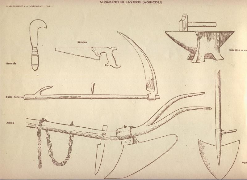 Lamina 22: Strumenti di lavoro (agricoli)