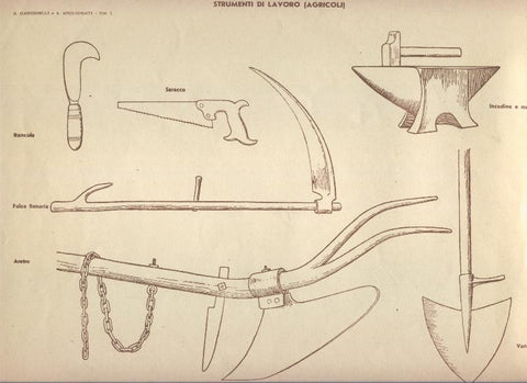 Lamina 22: Strumenti di lavoro (agricoli)