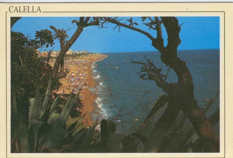 Postal 006817: Calella: vista general de la playa