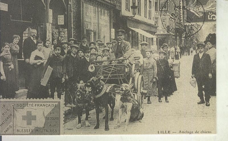 Postal 011133: Lille, attelage de chiens