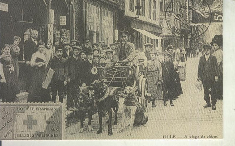 Postal 011133: Lille, attelage de chiens