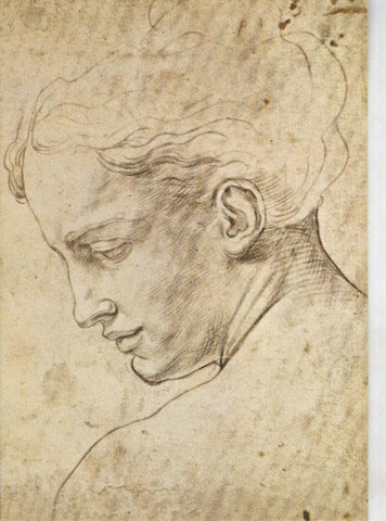 Postal 011262: Testa di donna, Galleria Uffiz de Firenze