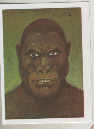 Cromos: Historias de Terror numero 070: Hombre Gorila