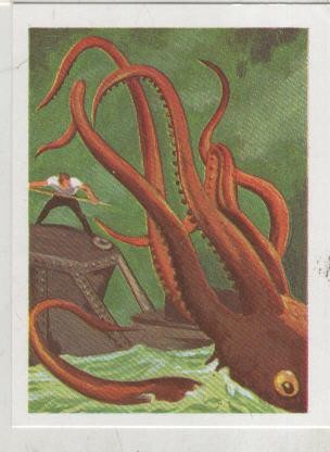 Cromos: Historias de Terror numero 122: Pulpo gigante