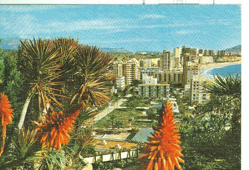 Postal 006473 : Benidorm