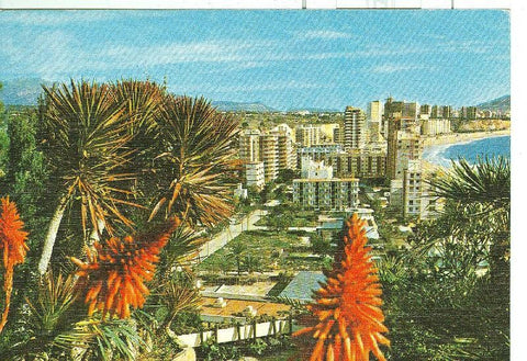 Postal 006473 : Benidorm