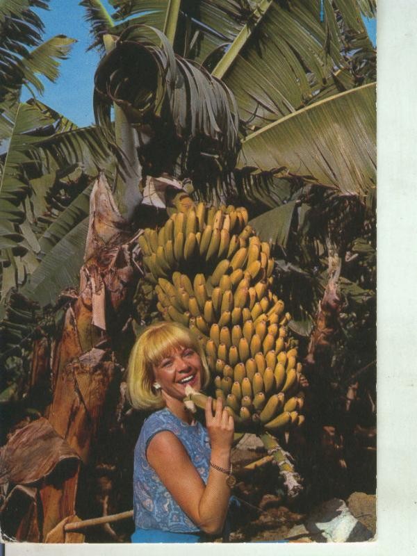 Postal 011446: Plataneras en Canaria