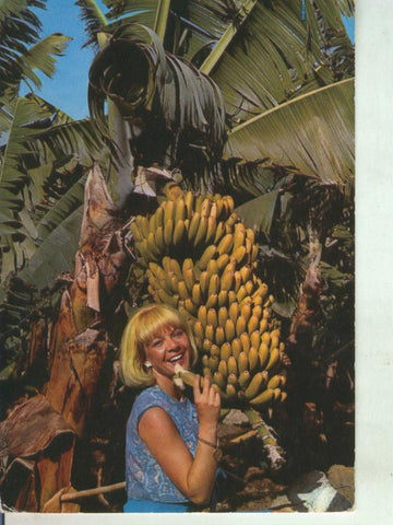 Postal 011446: Plataneras en Canaria