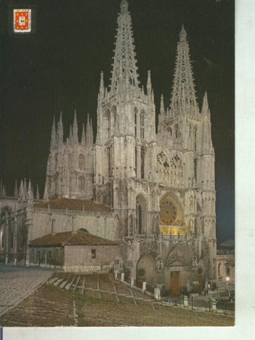 Postal 011482: Vista noctura de la catedral de Burgos