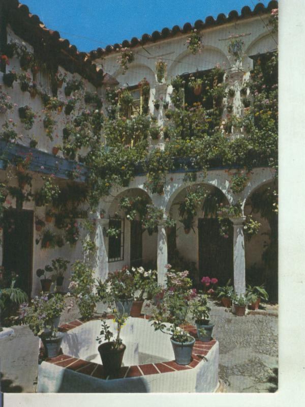 Postal 011492: Tipico patio andaluz