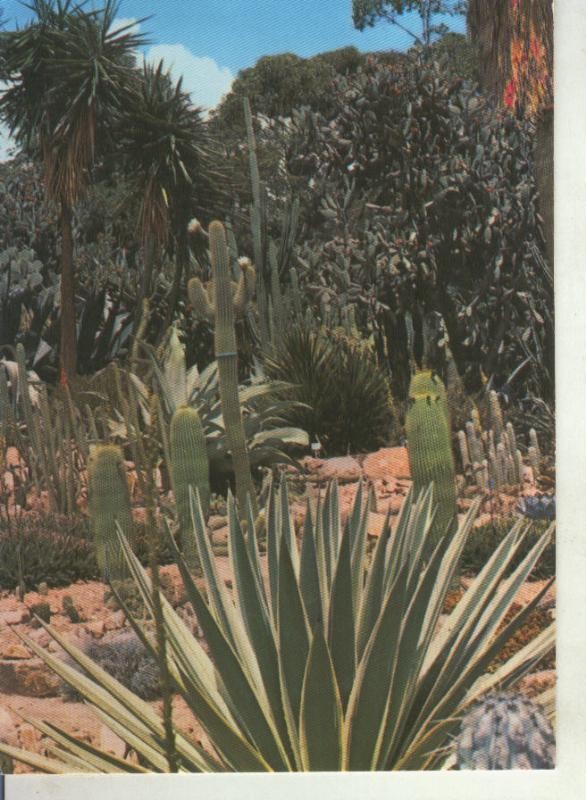 Postal 011607: Jardi Botanico Mar i Mutra de Blanes