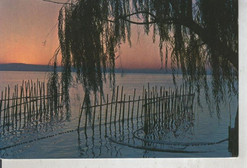 Postal 011928: Atardecer en la albufera de Valencia