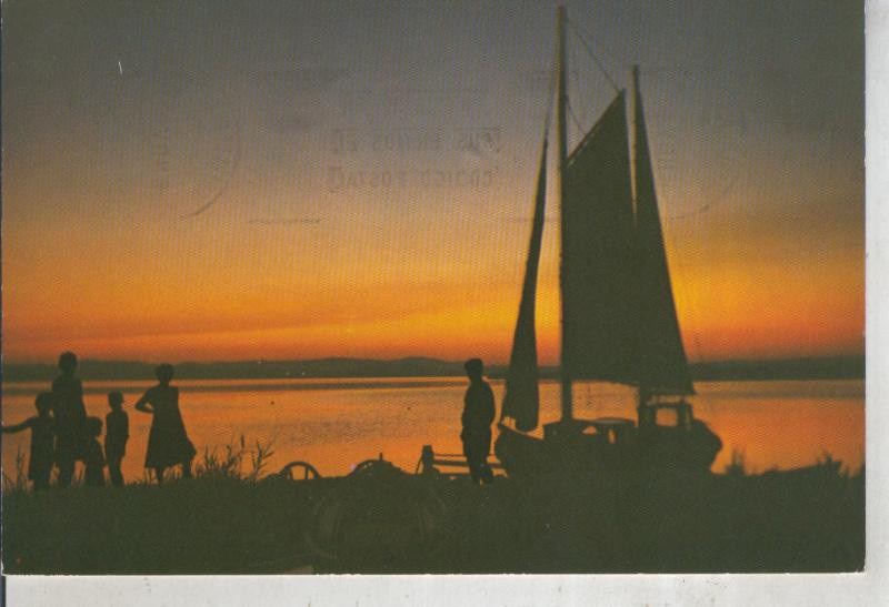 Postal 011964: La Albufera de Valencia