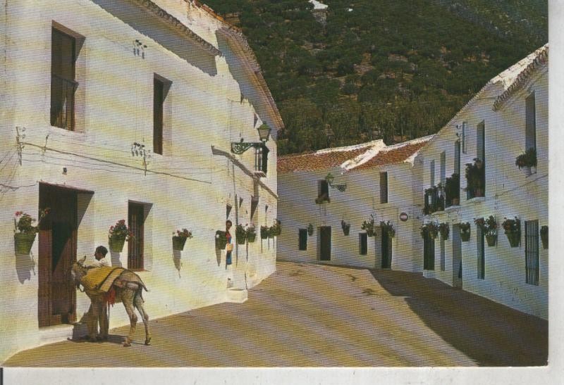 Postal 012018: Calle tipica de Mijas, Malaga