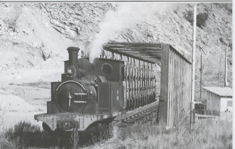 Postal 012110: Locomotora de vapor 030T-El Esla, Cisterna (leon)