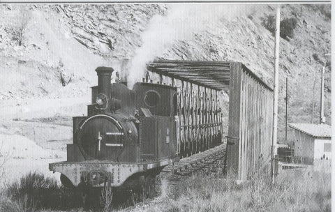 Postal 012110: Locomotora de vapor 030T-El Esla, Cisterna (leon)