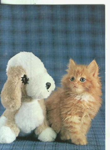 Postal 001071: Gato con peluche