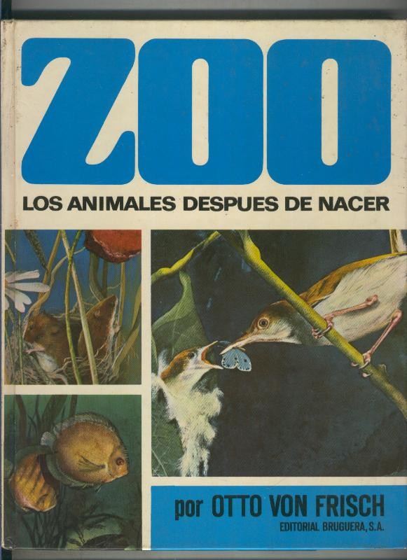 Zoo: Los animales despues de nacer