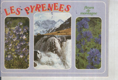Postal 012249: Vistas de Les Pyrenees, Fleurs de montagne