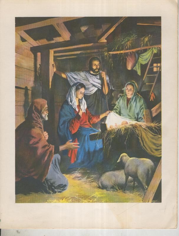 Nuevo Testamento: Historia de Jesus: Lamina 05