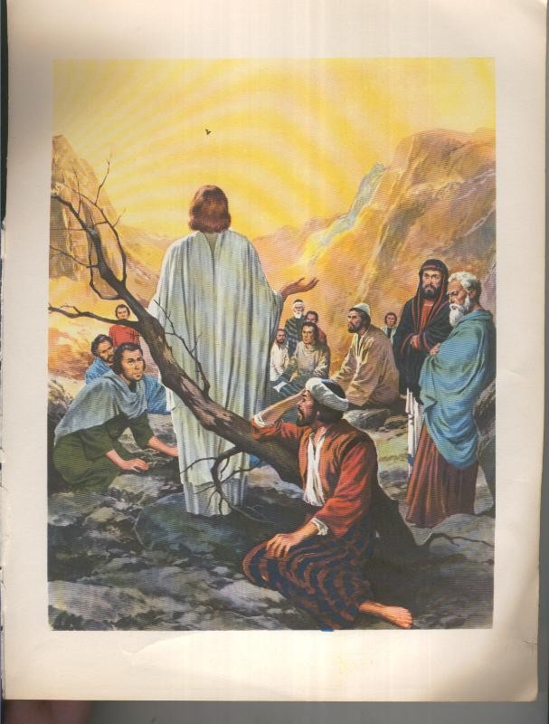 Nuevo Testamento: Historia de Jesus: Lamina 10